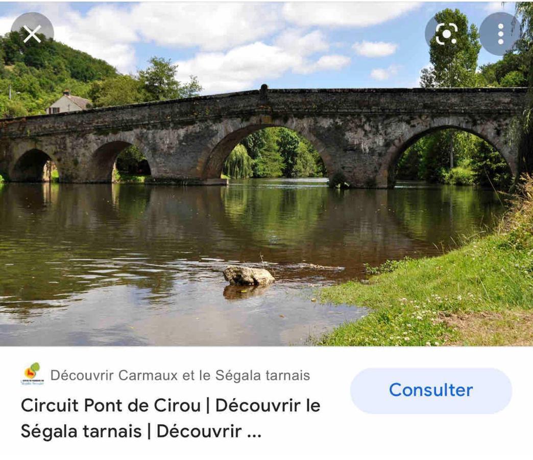 Le Gite De Las Peyros Mirandol-Bourgnounac المظهر الخارجي الصورة