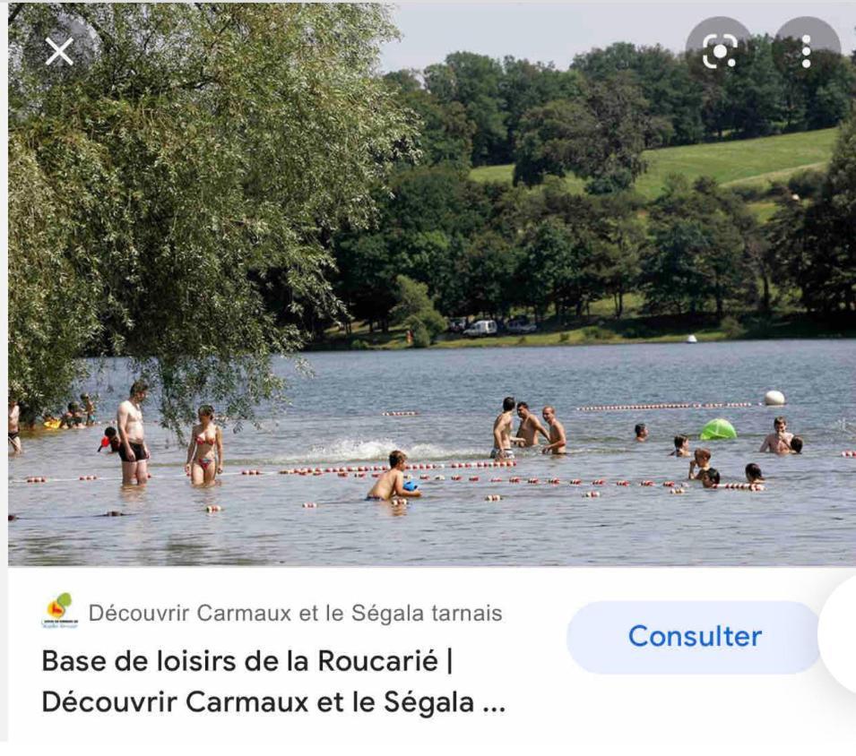 Le Gite De Las Peyros Mirandol-Bourgnounac المظهر الخارجي الصورة